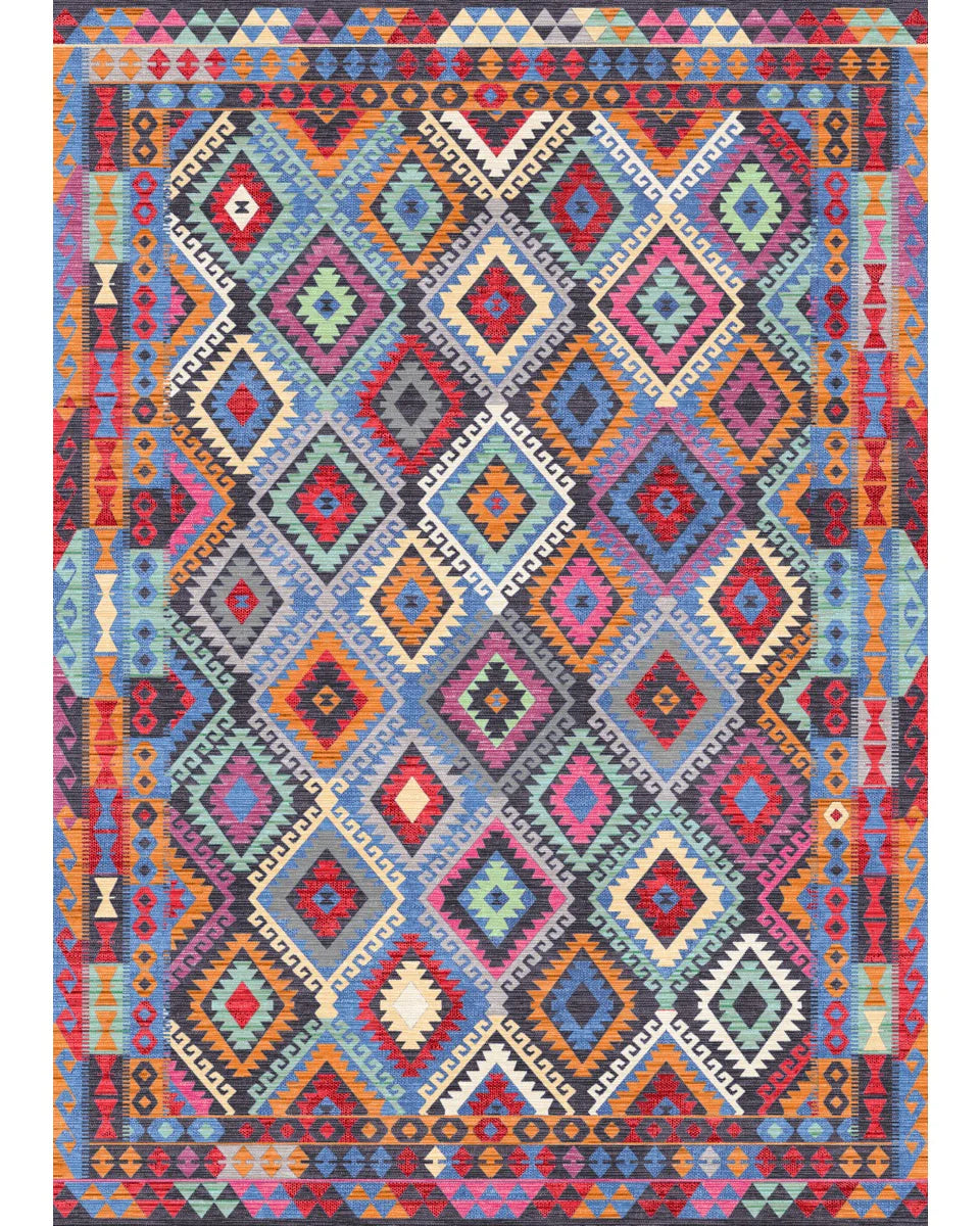 Assania Multi Color Rug