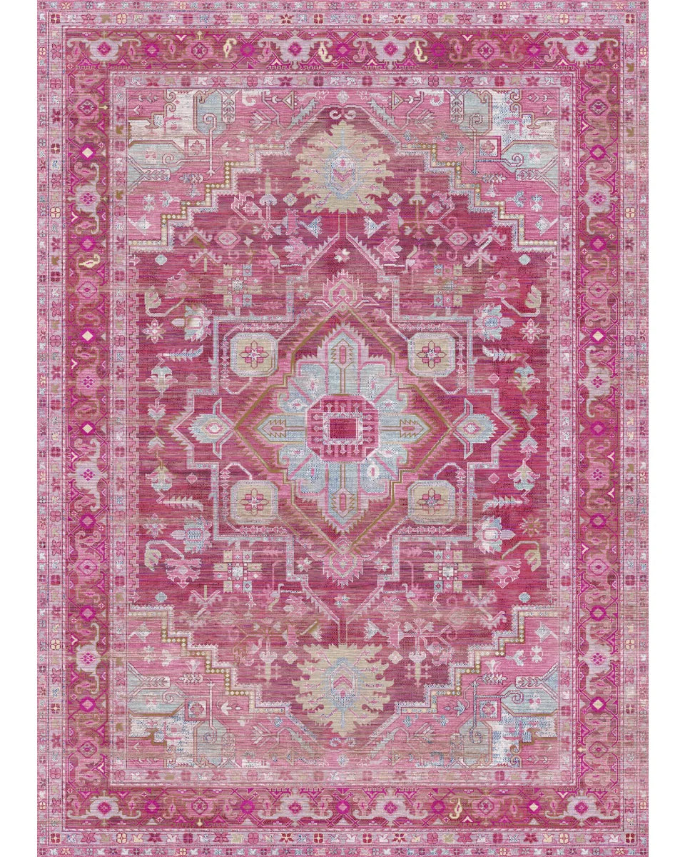 Ozana Pink Teal Rug